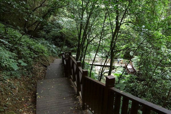 新竹峨眉｜水濂橋步道．藤坪步道｜百年糯米橋與天然岩窟中的梵音1574338