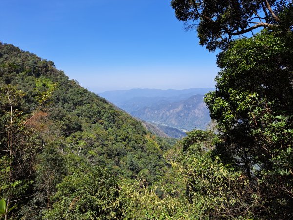 小出山(惠蓀林場上)202304162118298