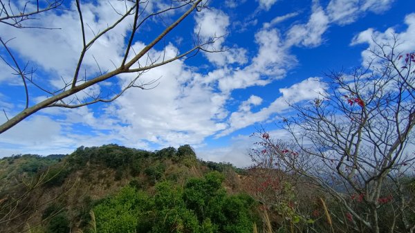 石苓湖山（頭嵙南峰）/黑山/黑山北峰/頭嵙山1585853