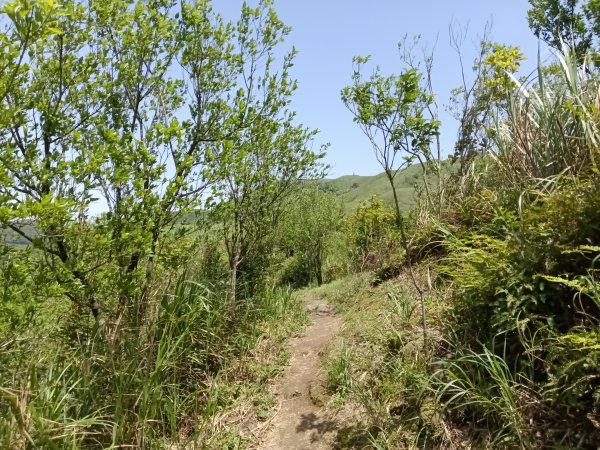 雙溪區不厭亭+牡丹山+樹梅坪+鷹石岩山神廟+不厭亭+奉憲示禁碑+三貂崙+不厭亭8字走2766325