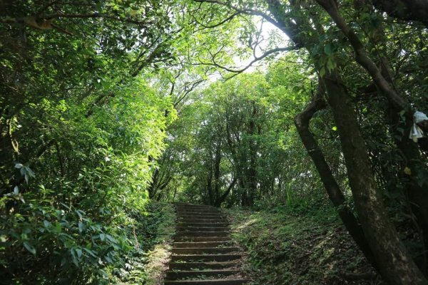 小百岳NO12  汐止大尖山 縱走海拔641公尺 四分子尾山2229062