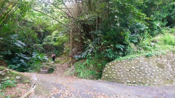 璀璨百年淡蘭古道～象寮古道、石空山、坪溪古道、梗枋古道O走1339431