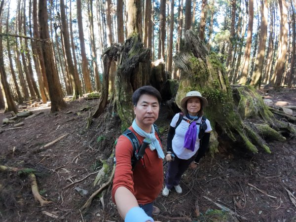 20241127特富野古道+梯子板山2659351