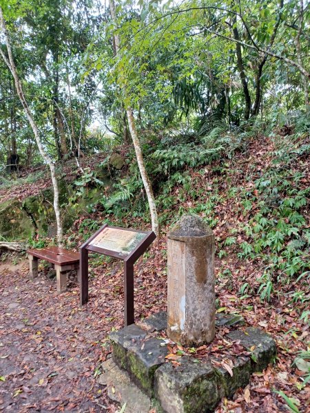 【苗栗大湖】山頂展望佳等到雲海。 馬那邦山登山步道2806796