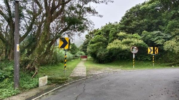 瑞芳區金瓜石地質公園-大粗坑古道(大粗坑山+小金瓜露頭)-樹梅坪-百二崁古道-金瓜石地質公園步道O型3055280