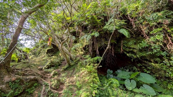 114.10.11石荀尖之旅2912046