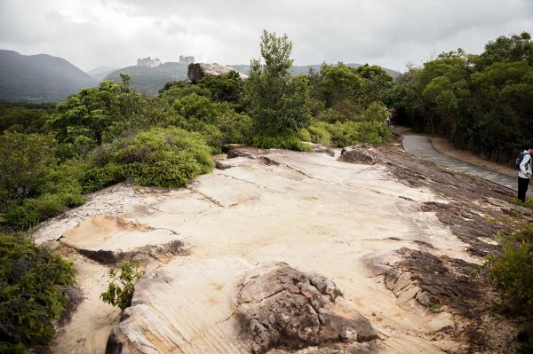 軍艦岩＋丹鳳山親山步道2623230