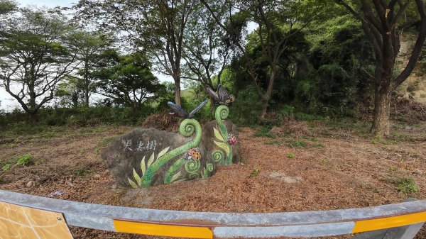 高雄 小崗山2927236