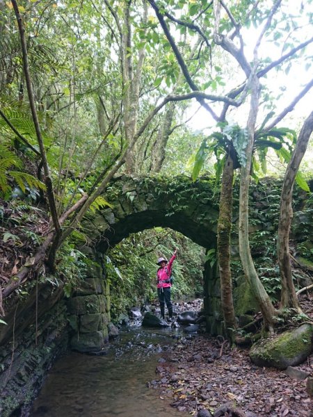 璀璨百年淡蘭古道～崩山坑古道、溪尾寮山、保城坑古道、虎豹潭步道O走1313469