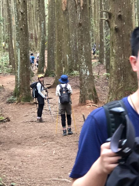 中級山-高島縱走2888441