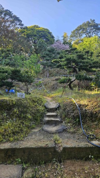 20260315玉皇宮-客官農場-崙子尾-青礐山-內寮山(騎車爬山)3016357