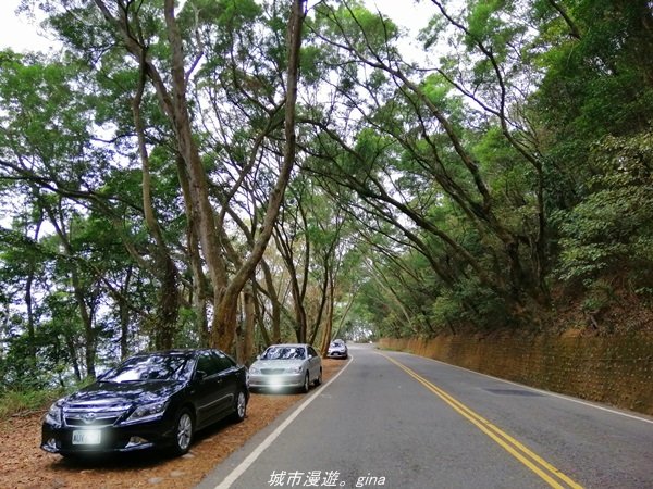 【南投】散步小百岳。 小百岳集起來。 編號48小百岳~橫山1386353