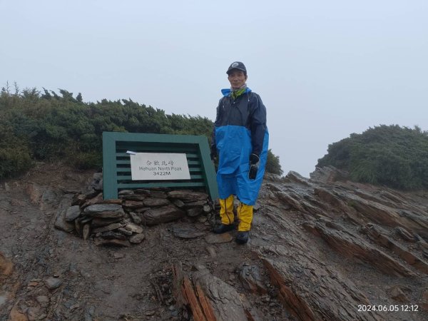 合歡北峰紅毛杜鵑盛開_202406052518313