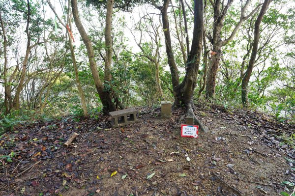 基隆 仁愛 紅淡山、金交椅山2714984