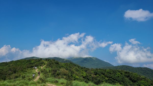 陽明山國家公園-風櫃嘴、石梯嶺、擎天崗1484109