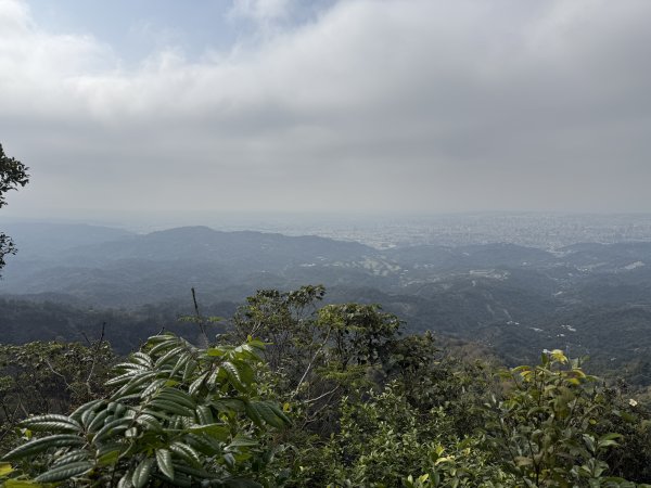 頭嵙山二嵙山O形2690494