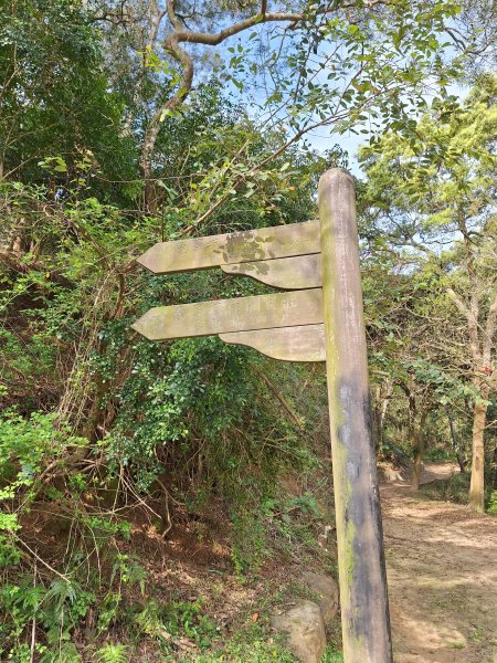 頭份鹿廚坑健行步道2734342