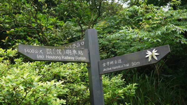 金字碑古道登山健行趣(淡蘭北路TK1-13)1809942