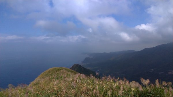 基隆山登山步道591981