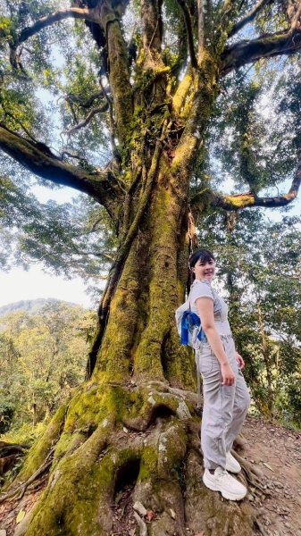 🌈3/21（六）頂湖上大凍山下奮起湖老街✨FB：熊熊趴爬走🌈3020185