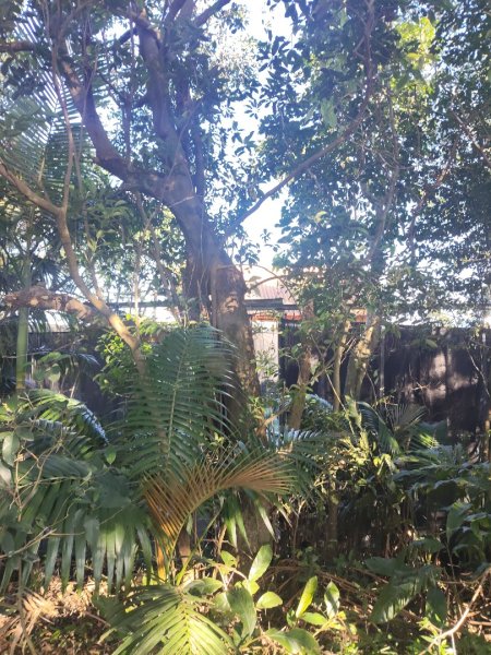 微笑山線：【天上山系】烘爐地土地公段：外南勢角山2963540