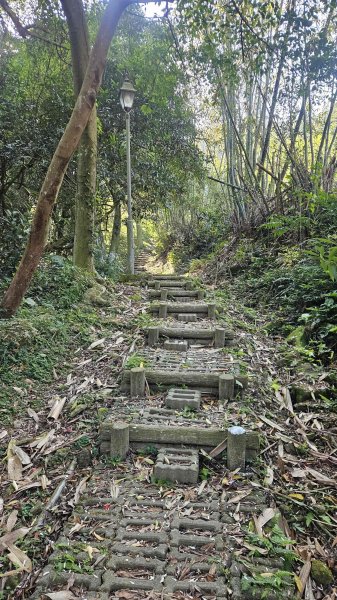 20260223石雲橋-元德寶宮賞櫻-大棟山3004787
