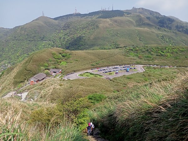 【臺北大縱走 3】小油坑→七星山主峰、東峰→冷水坑→冷擎步道→菁山吊橋→雞心崙→折返至冷水坑2093643