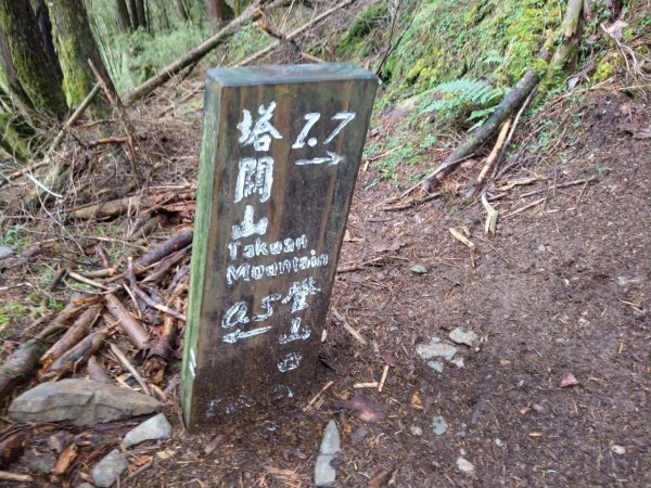 高雄/台東-南橫三星-塔關山3053678