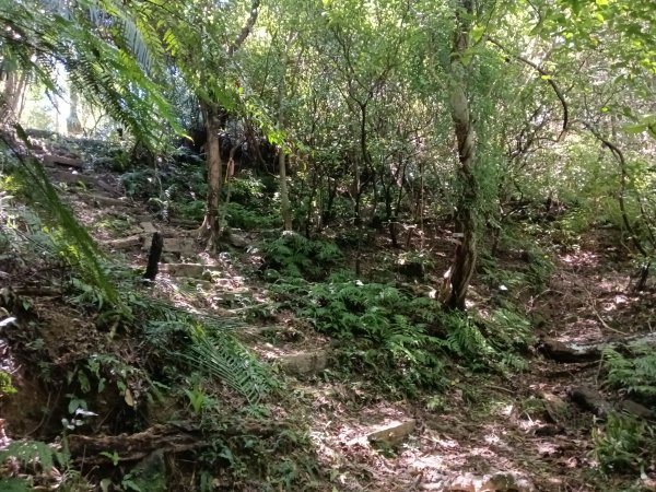 基隆市外西勢坑山+暖暖砲台+福基煤礦遺址O型2907986