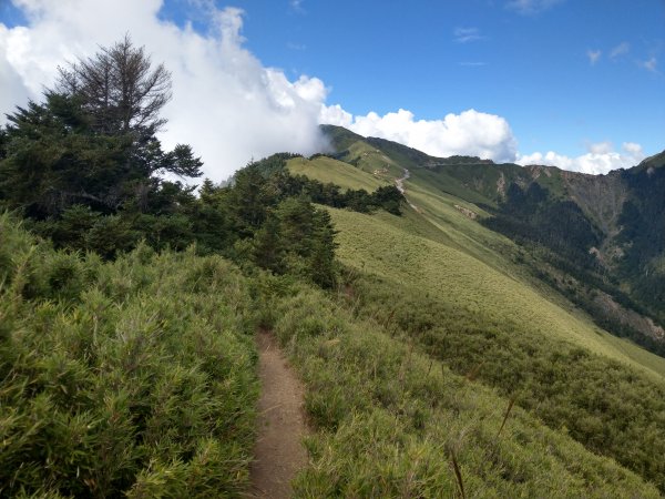 合歡山南峰&主峰之高山美景1456612