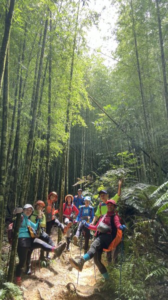 精彩的水社大山行|白石山土地公廟|Great Mt. Shuishe|쉐이써따신|峯花雪月2263863