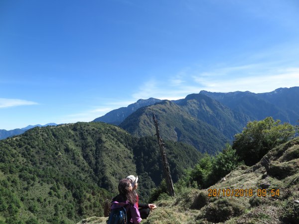 鹿林山及麟趾山449518