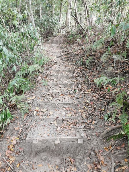 步道巡訪員 l 鳥嘴山步道10月巡訪日誌1139531