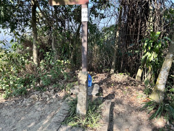 清水岩中央嶺造林步道2957430