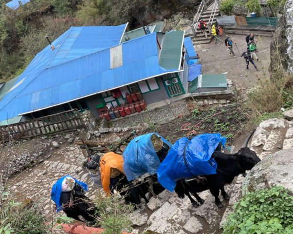 尼泊爾聖母峰EBC基地營❤️風景篇2790925