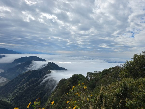 馬那邦山之雲海／雲瀑／楓紅／太陽琉璃光2668275