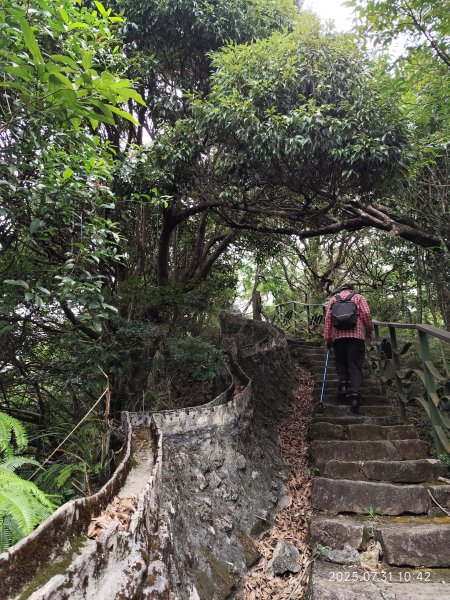 大湖公園→大溝溪生態治水園區→圓覺寺步道→圓覺瀑布→圓覺寺→鯉魚山步道【臺北大縱走 4、臺北健走趣】2849140