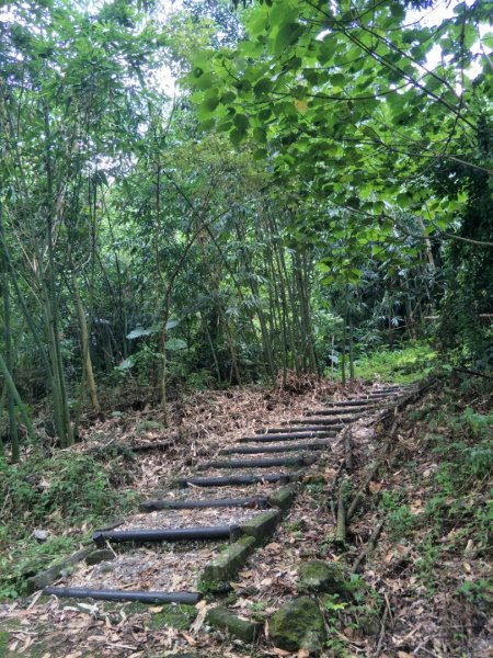 關子嶺枕頭山步道1451935