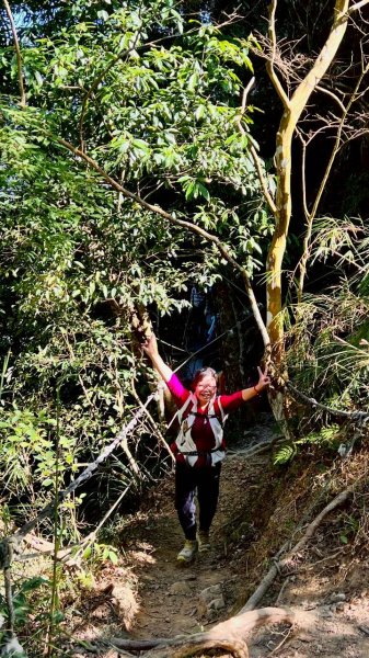 🌈1/4(日)來趣梅嶺~竹子尖山-獵鷹尖-一線天~梅子雞風味餐✨FB：熊熊趴爬走🌈2976833