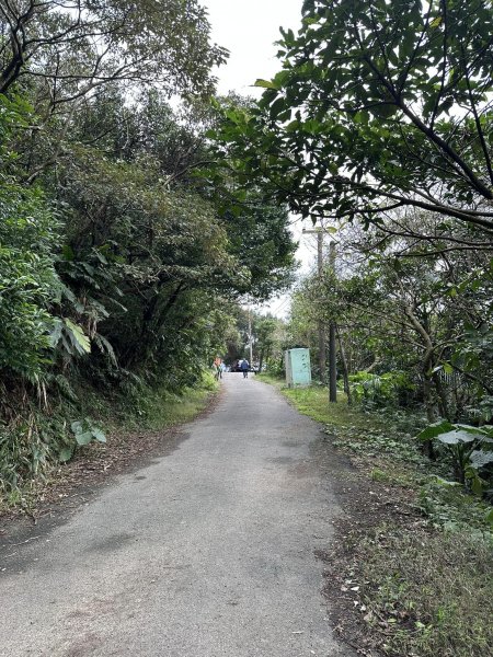 紅淡山步道&槓子寮山 / 小百岳No4&7/基隆2045288