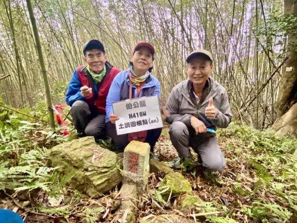 三義銅鑼基石巡禮--伯公龍.大坪凸.模麟坑山.鯉魚石下山.茄苳坑山.老雞隆山.社寮坪山2410086