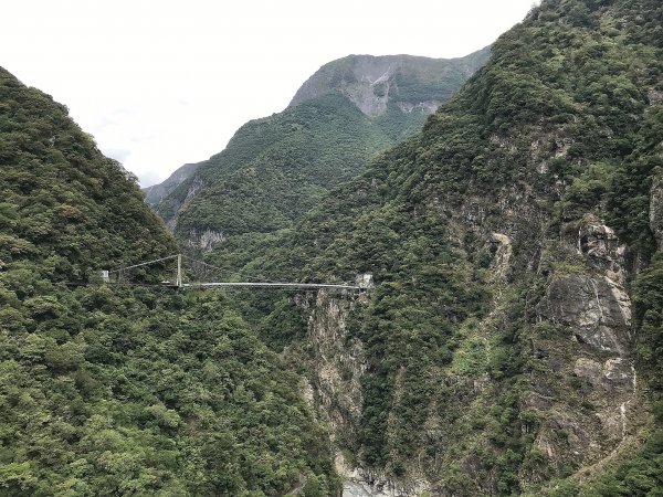 布洛灣&環流丘步道&山月吊橋1445038