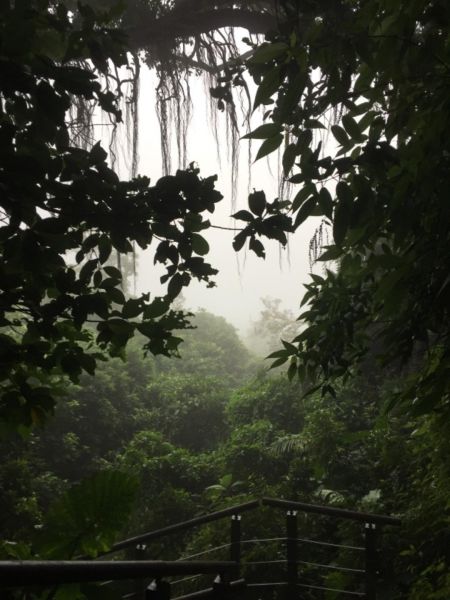 雨後柴山行390729