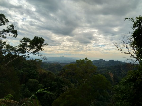 20211127_聚興山1528381