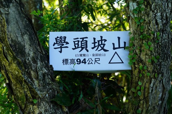 新北 汐止 學頭坡山、老鷲尖山、水尾潭山、內溝山2603826