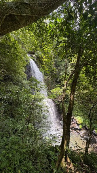 戲水（耘雲姊2786105