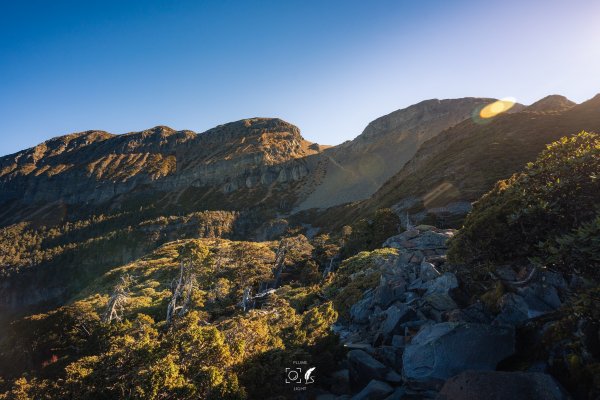 心映雪翠｜Mt.Xue｜Taiwan 785813