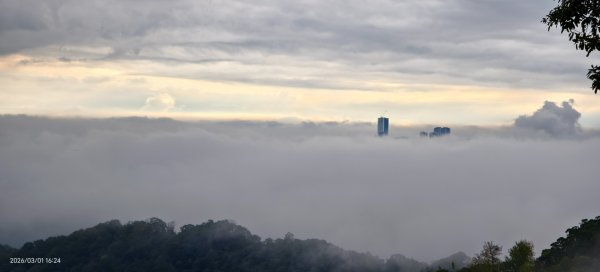 #雲瀑 #雲海 #琉璃光 #天空之城（林口）#觀音山 #林梢步道 3/13008589
