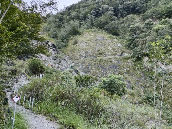 [玉山尋寶任務-07/12] 2025_0824 八通關雲龍瀑布步道2870470