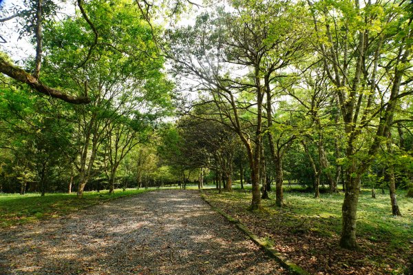 新北 烏來 志良久山3035157